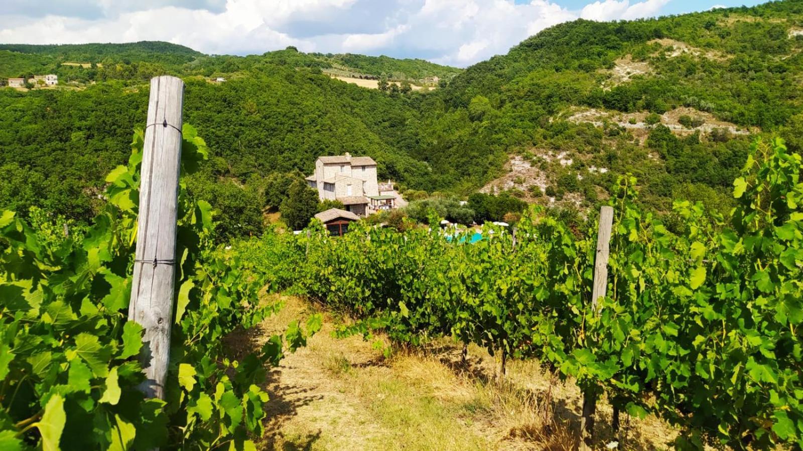 Re Artu Assisi Country Lifestyle Lejlighedshotel Eksteriør billede