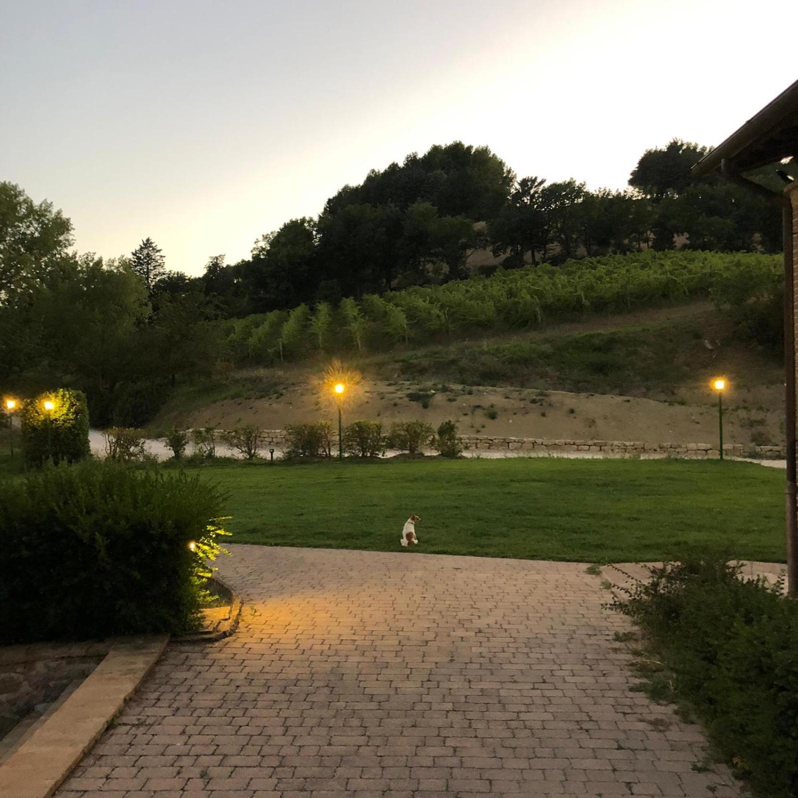 Re Artu Assisi Country Lifestyle Lejlighedshotel Eksteriør billede